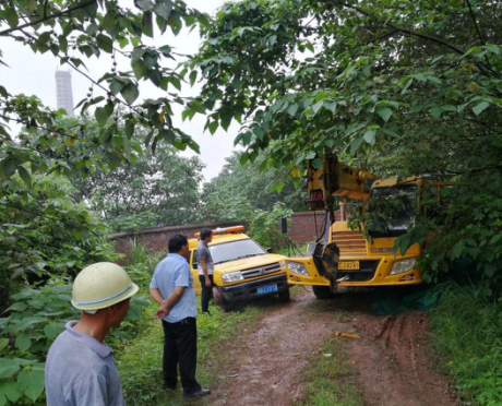 不畏风雨，不惧骄阳